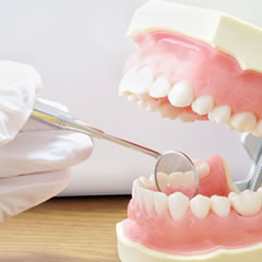 歯から体の健康を診る
